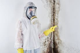 Best Water Damage & Mold Remediation  in USA